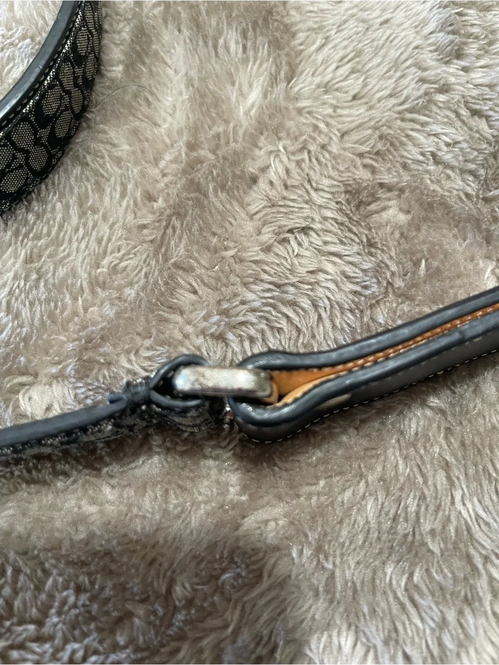 Coach stylish signature